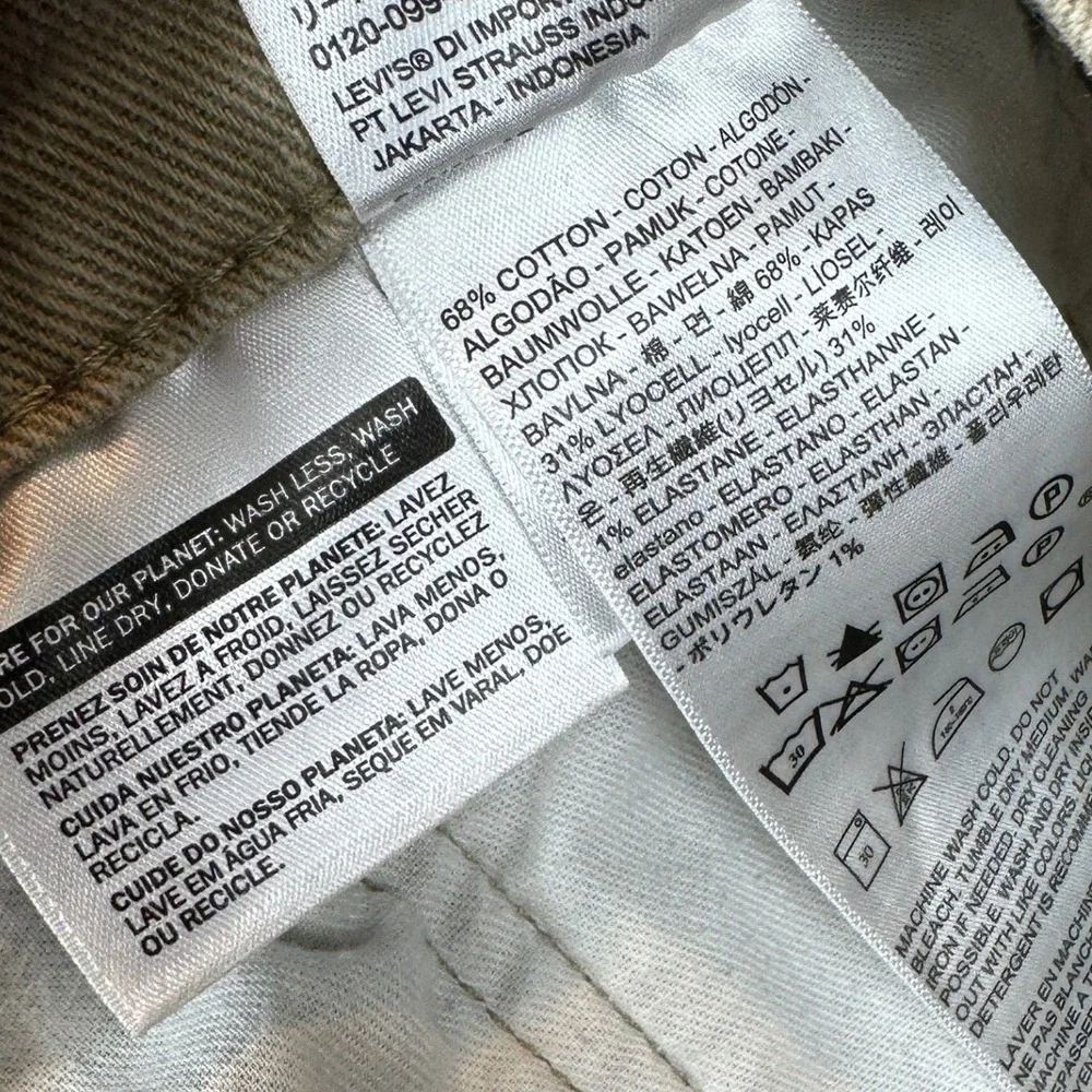Levis levi 541
